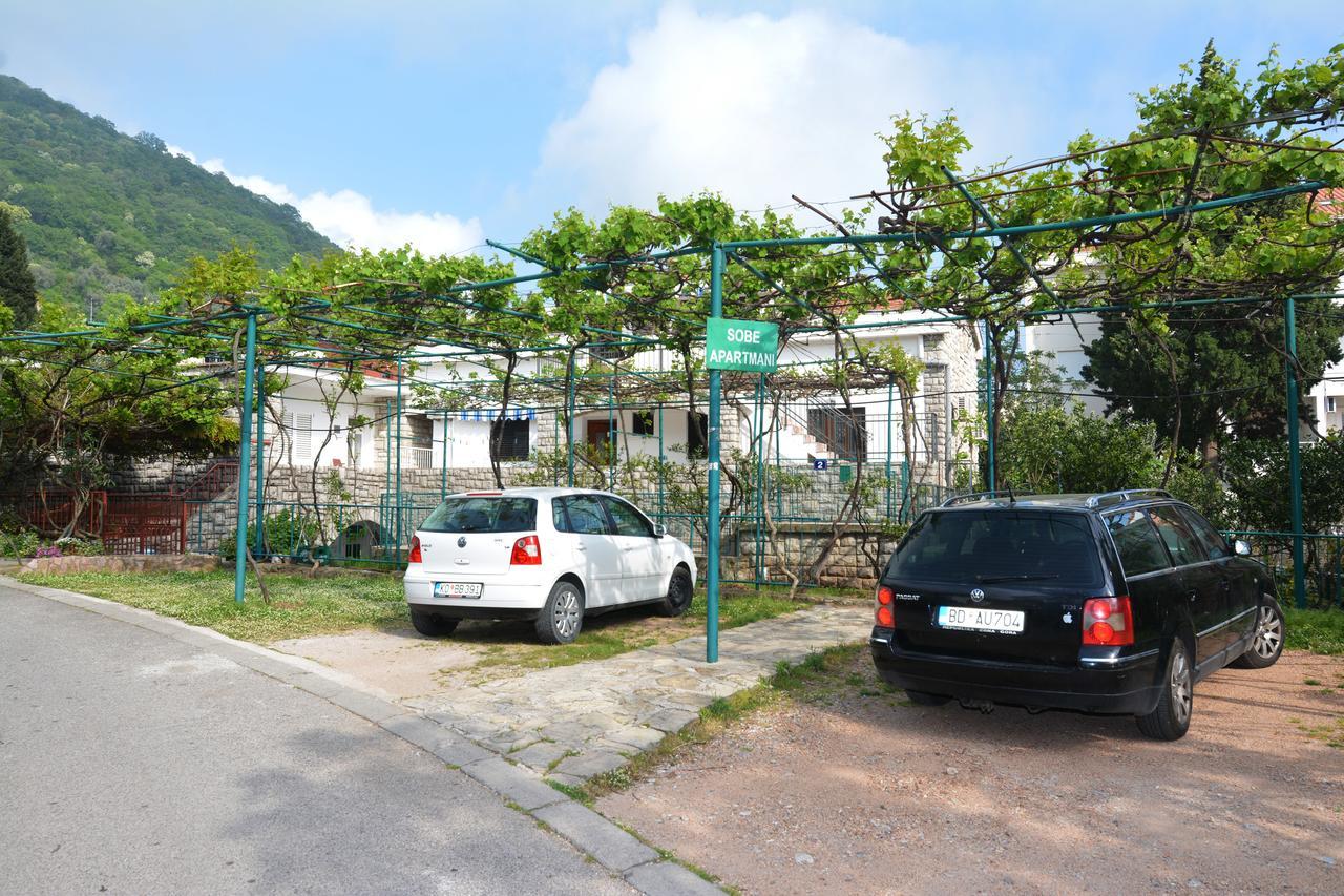Apartments Jovana Petrovac Buitenkant foto