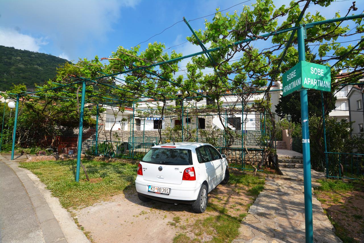 Apartments Jovana Petrovac Buitenkant foto